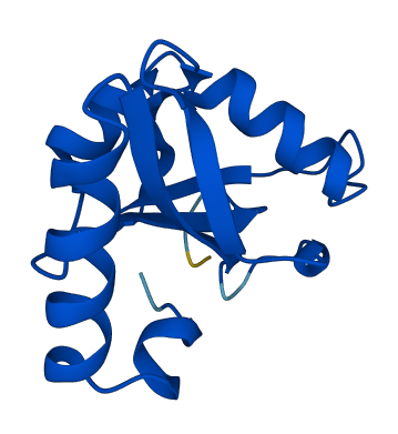 GABARAPL3 3D structure