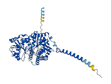 UGT2B28 3D structure