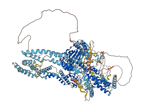 KDM5D 3D structure