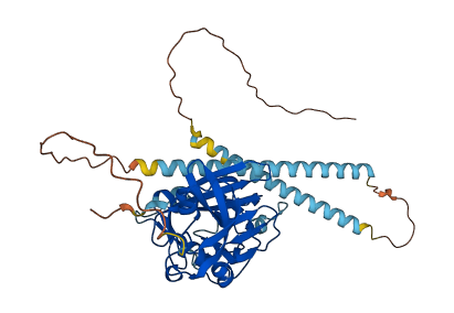 ANGPTL4 3D structure