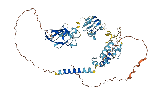 MFRP 3D structure
