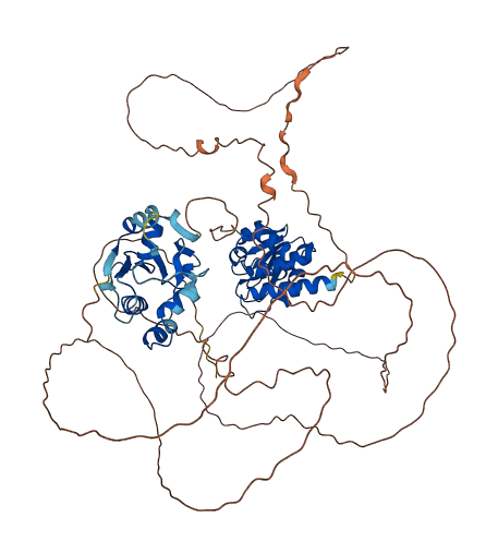 DUSP16 3D structure