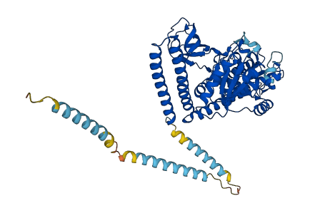 FUT8 3D structure