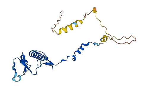 MRPL32 3D structure