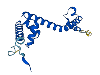 MRPL20 3D structure