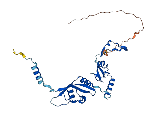 MRPL9 3D structure