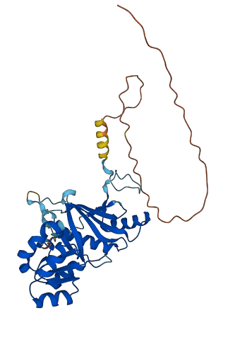 MRPL1 3D structure