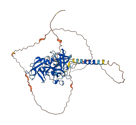 TMPRSS13 3D structure