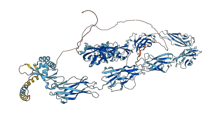 CDHR2 3D structure