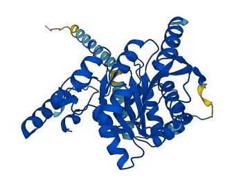 B3GNT5 3D structure