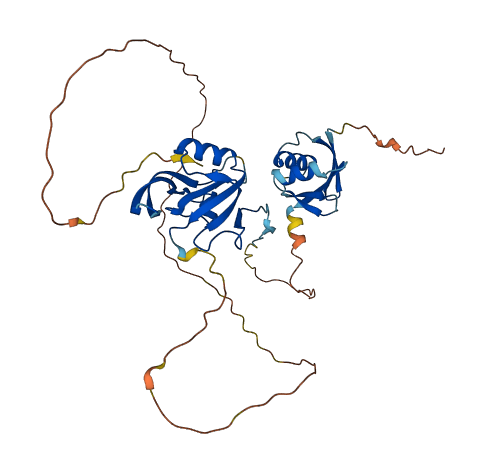 PARD6G 3D structure