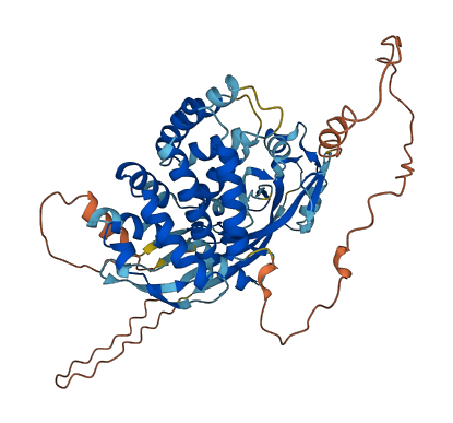 GSDMC 3D structure