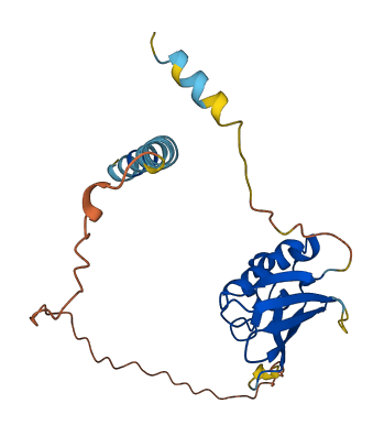 FGFBP2 3D structure