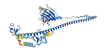 TRIM34 3D structure