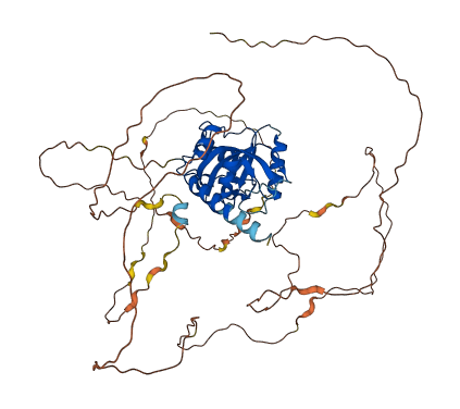 YTHDF1 3D structure