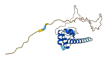 SAMD10 3D structure