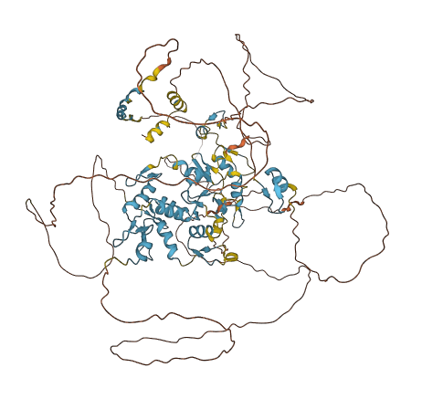 ZNF341 3D structure