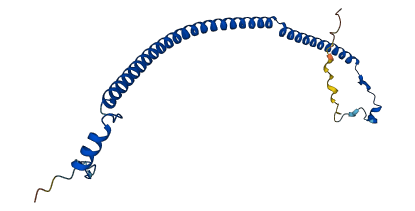 MRPS26 3D structure