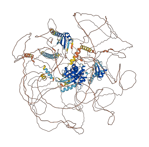 WNK3 3D structure