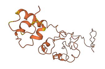 KRTAP4-11 3D structure