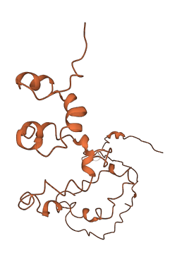 KRTAP4-7 3D structure