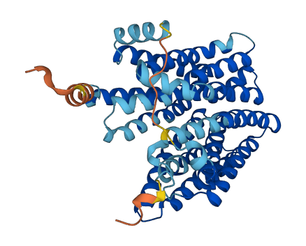 SLC17A9 3D structure