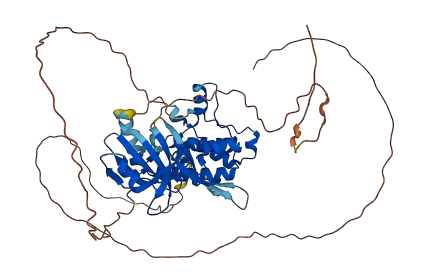 STK33 3D structure