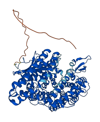 NLN 3D structure