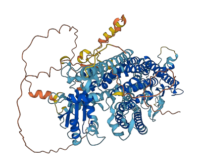ANO3 3D structure