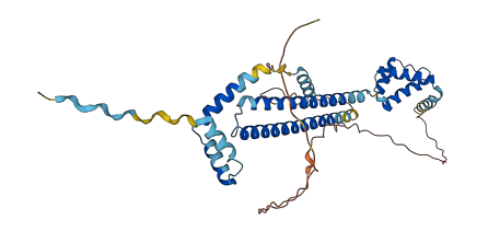 PBX4 3D structure