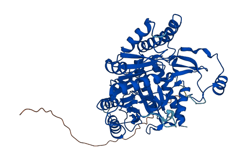 AGXT2 3D structure