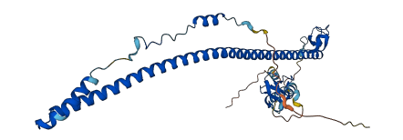 TRIM54 3D structure