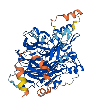 BCO2 3D structure
