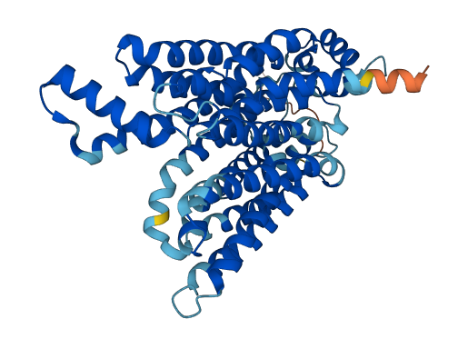 SLC2A11 3D structure