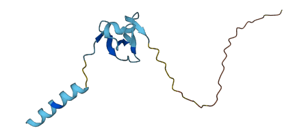 DEFB126 3D structure