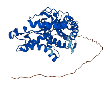 LDHAL6B 3D structure