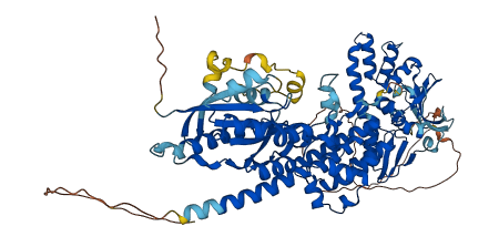 RHOBTB2 3D structure
