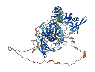 ADAM33 3D structure