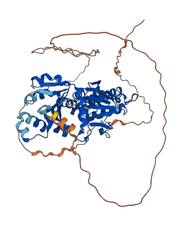 PANK2 3D structure