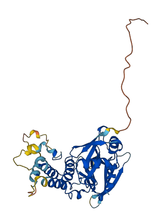 FRMD8P1 3D structure