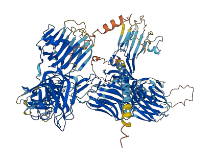 CNTNAP3 3D structure