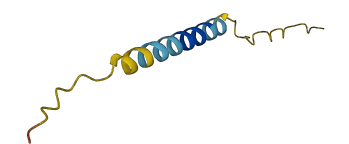 TTTY13 3D structure