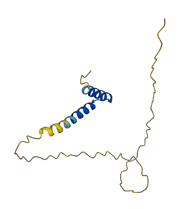 TXLNGY 3D structure