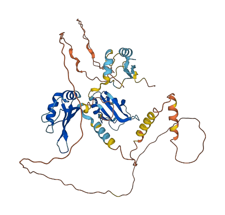 CELF4 3D structure