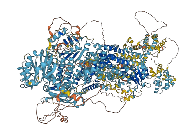 ABCA2 3D structure