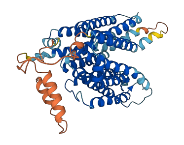 SLC29A3 3D structure