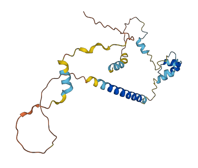 PRRG4 3D structure