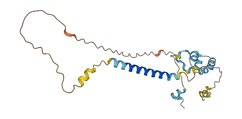 PRRG3 3D structure