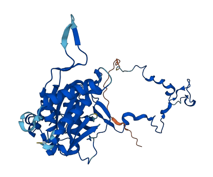 MRPL37 3D structure