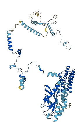 GTPBP4 3D structure